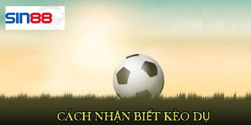 Cách nhận biết kèo dụ đơn giản